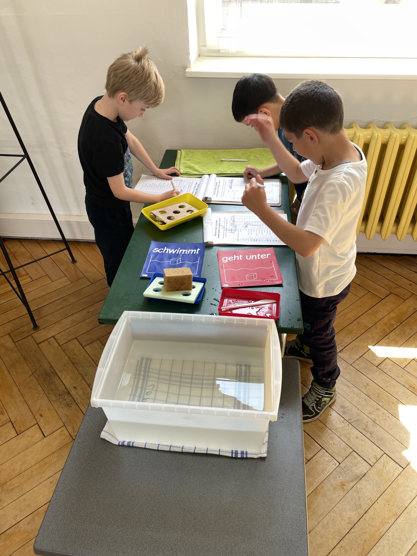 Bild der Galerie
