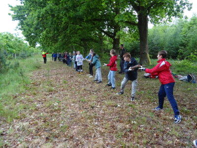 Foto des Albums: Waldolympiade 2025