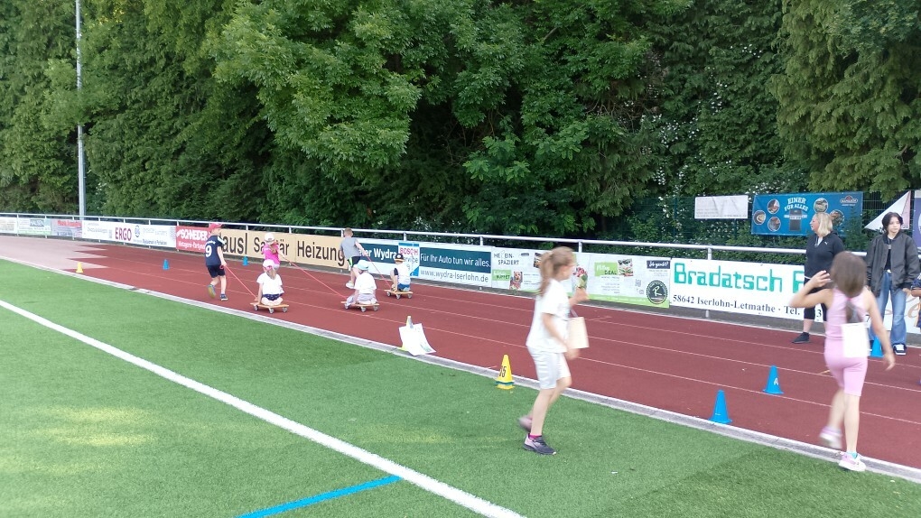 Bild: Rasen 6