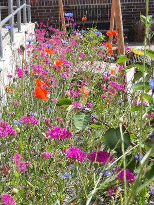 Blumenbeet auf dem Naturschulhof  (Bild vergr&ouml;&szlig;ern)