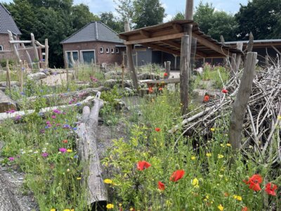 Blumen auf dem Schulhof  (Bild vergr&ouml;&szlig;ern)