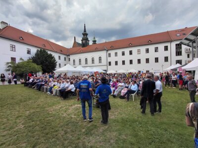20250531 183720  (Bild vergr&ouml;&szlig;ern)