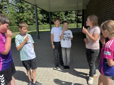 Foto des Albums: Eis vom Förderverein