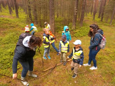Wir sammeln für unseren "Waldgnom".  (Bild vergrößern)