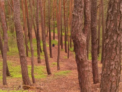 Von hier oben sehen die Menschen wie kleine Ameisen aus.  (Bild vergrößern)