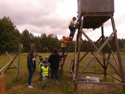 Lasst uns Ausschau nach Tieren halten.  (Bild vergrößern)