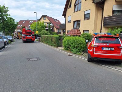 Foto des Albums: 20250603_BR03M_Plattenhardt
