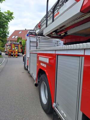 Foto des Albums: 20250603_BR03M_Plattenhardt