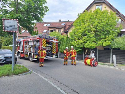 Foto des Albums: 20250603_BR03M_Plattenhardt