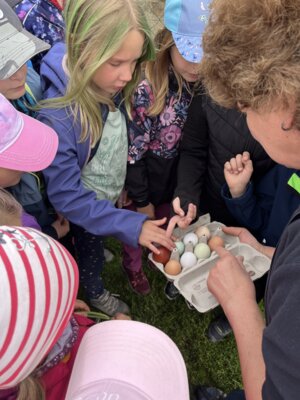 Foto des Albums: Besuch auf dem Bauernhof, Klasse 2