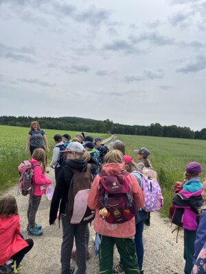 Foto des Albums: Besuch auf dem Bauernhof, Klasse 2