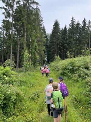 Foto des Albums: Besuch auf dem Bauernhof, Klasse 2
