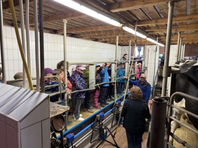 Foto des Albums: Besuch auf dem Bauernhof, Klasse 2