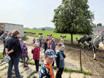 Foto des Albums: Besuch auf dem Bauernhof, Klasse 2