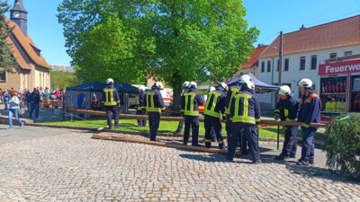 IMG-20250427-WA0012  (Bild vergr&ouml;&szlig;ern)