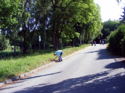 Ordnung wird an der Uferstra&szlig;e hergestellt 