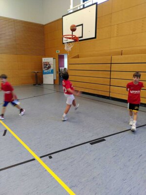 Foto des Albums: Basketball Grundschulmeisterschaft