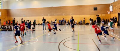 Foto des Albums: Basketball Grundschulmeisterschaft