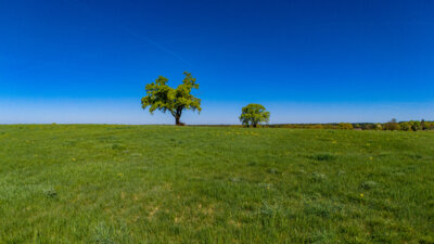 Foto des Albums: Ortsteil Hof Poltnitz