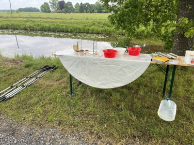 Foto des Albums: Lübbertsfehn Abschluss