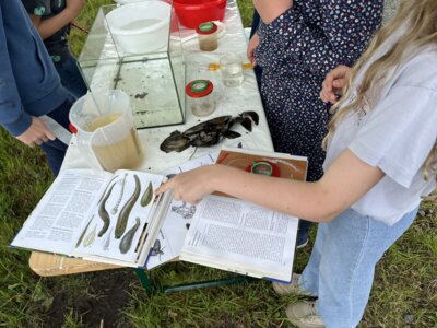 Foto des Albums: Lübbertsfehn Abschluss
