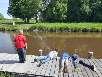 Foto des Albums: Lübbertsfehn Abschluss