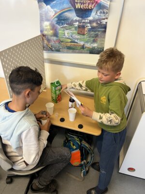 Foto des Albums: Lets mix Smoothie