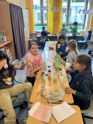 Foto des Albums: Lets mix Smoothie
