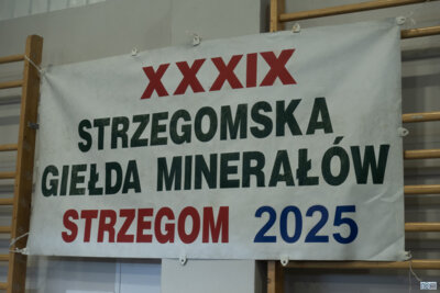 Foto des Albums: Strzegom_2025