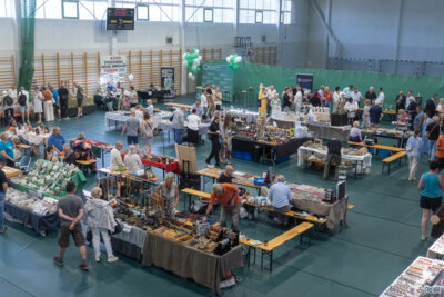 Foto des Albums: Strzegom_2025