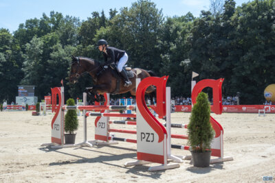 Foto des Albums: Strzegom_2025