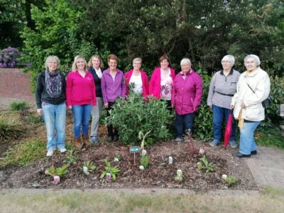Foto des Albums: Pflanzaktion