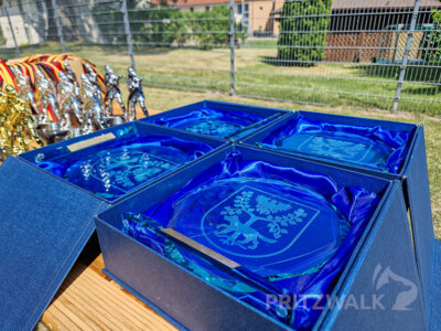 Foto des Albums: Der Spaß stand im Vordergrund beim 21. Stadtjugendfeuerwehrtag in Giesensdorf