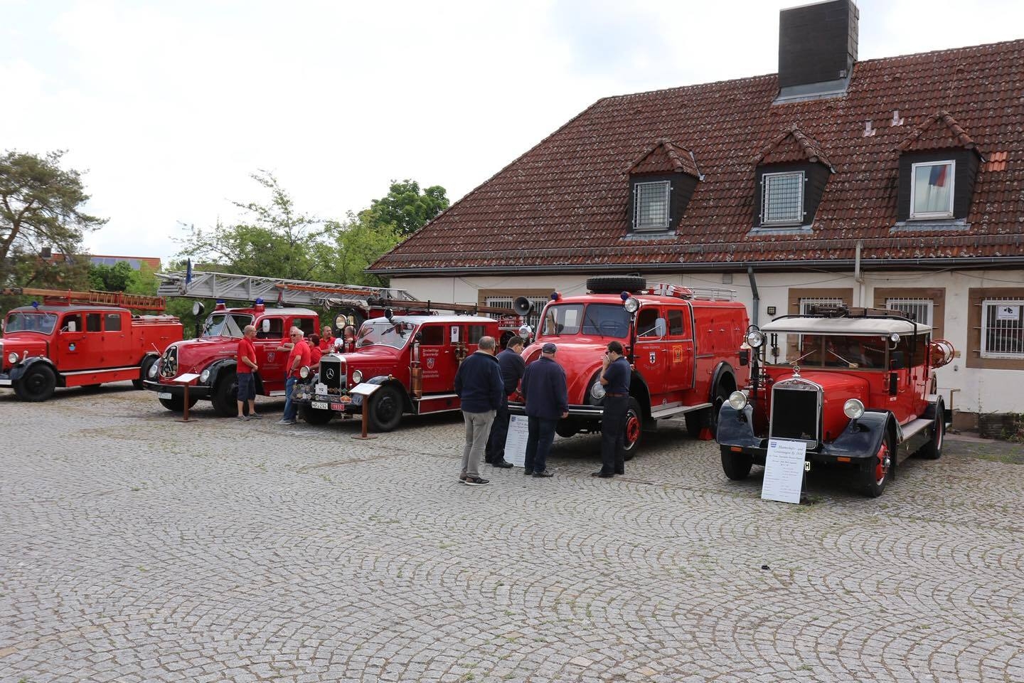 Bild der Galerie