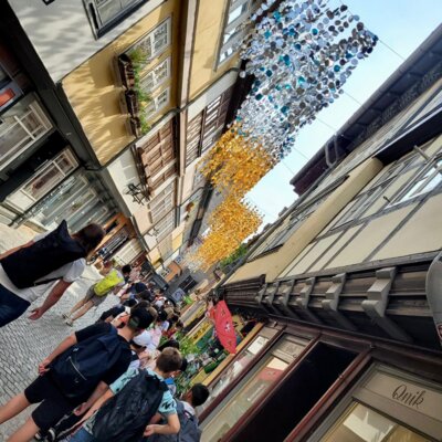 Foto des Albums: Eindrücke aus Erfurt