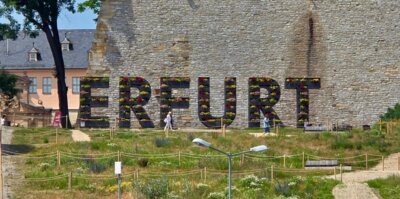 Foto des Albums: Eindrücke aus Erfurt