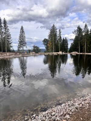 Foto des Albums: Wurzelrudi Sommer