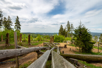 Foto des Albums: Wurzelrudi Sommer