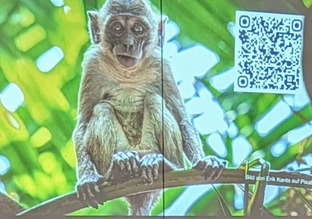 Bild: QR-Code für weitere Informationen