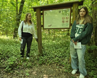 Foto des Albums: Mit Ameise Glindi den Naturpfad in Glinde entdecken