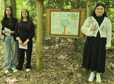 Foto des Albums: Mit Ameise Glindi den Naturpfad in Glinde entdecken