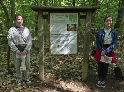 Foto des Albums: Mit Ameise Glindi den Naturpfad in Glinde entdecken