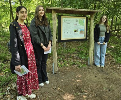 Foto des Albums: Mit Ameise Glindi den Naturpfad in Glinde entdecken