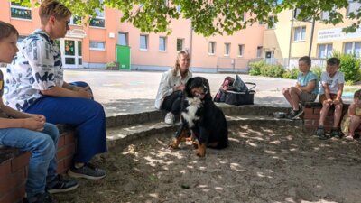 Fotoalbum Tierischer Besuch