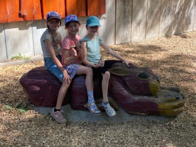 Foto des Albums: Wildpark Saarbrücken