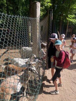 Foto des Albums: Wildpark Saarbrücken