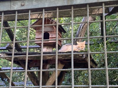 Foto des Albums: Wildpark Saarbrücken
