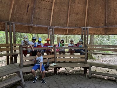 Foto des Albums: Wildpark Saarbrücken