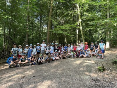Foto des Albums: Wildpark Saarbrücken