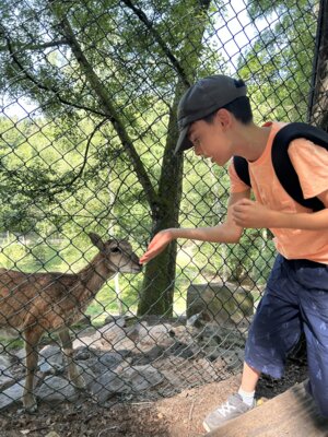 Foto des Albums: Wildpark Saarbrücken